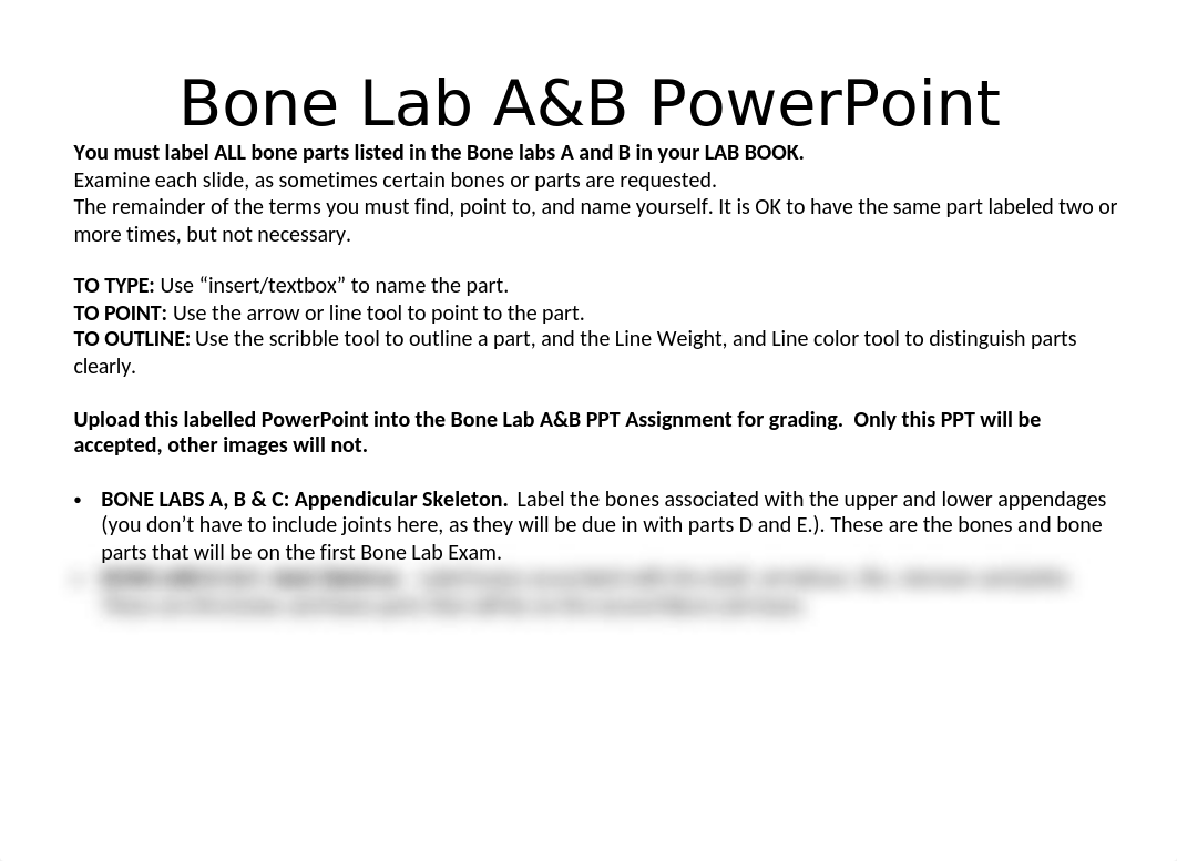 Bone Lab A&B PowerPoint.pptx_dpdvnr5rpjy_page1