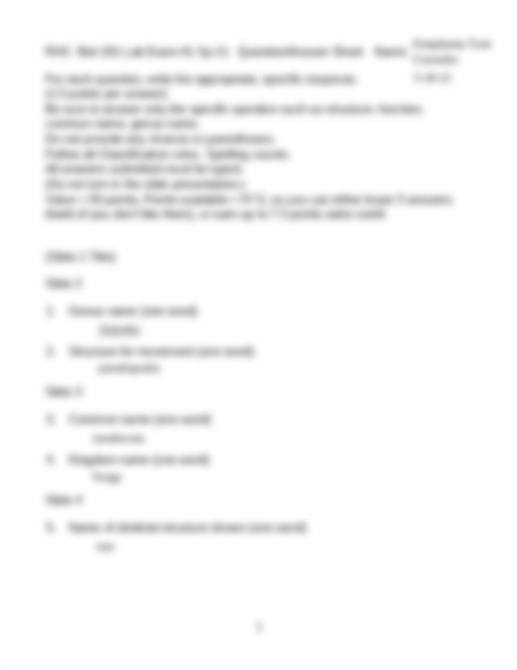 Lab Exam 1.pdf_dpe514svupz_page1