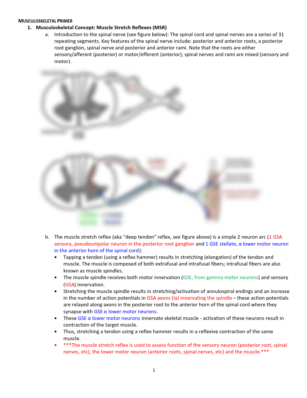 Anatomy_ClinicalSupplement_2019_07_27.pdf_dpe5970lefh_page2