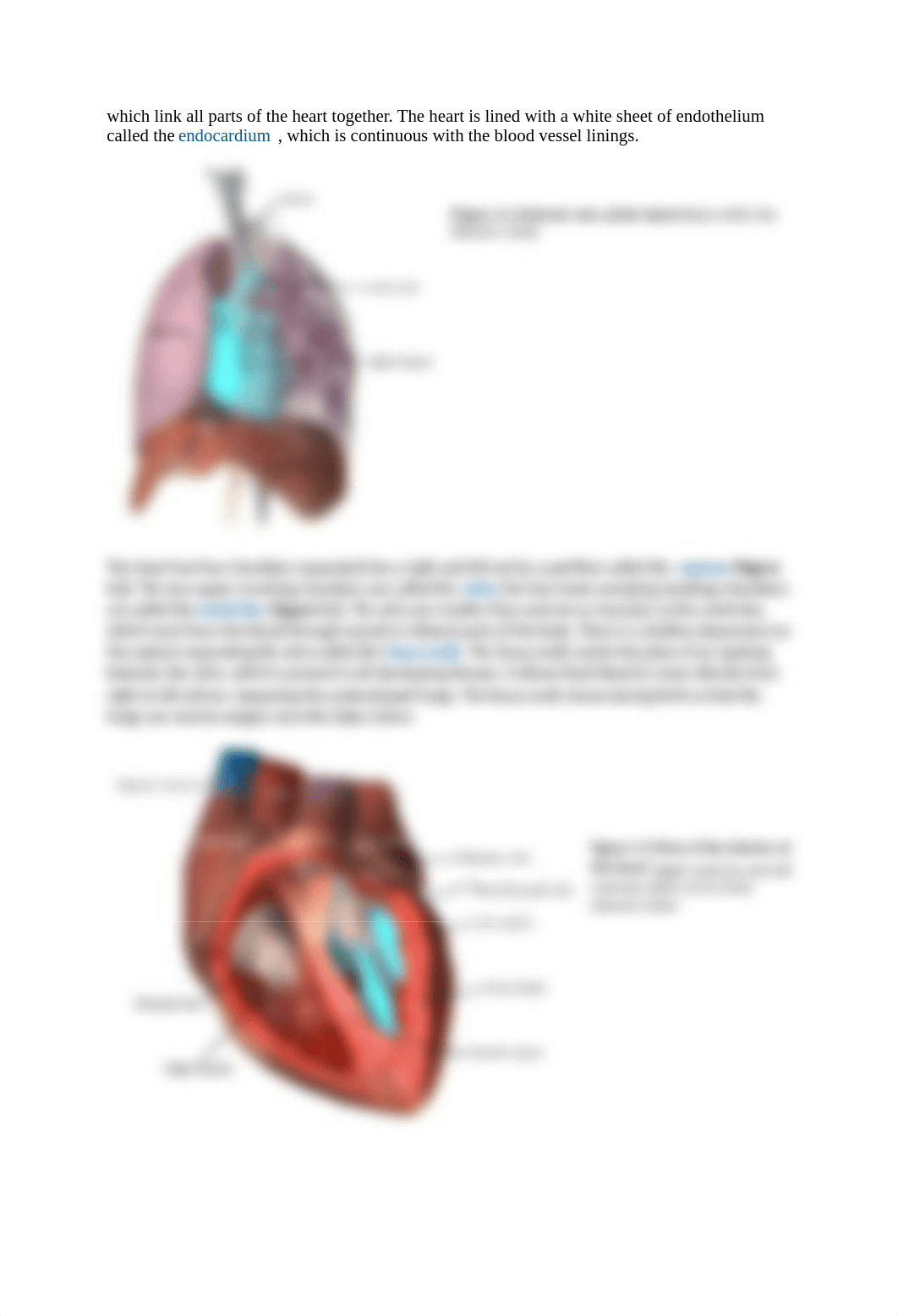 Module 4. Cardiovascular System.docx_dpec0qtez8h_page2