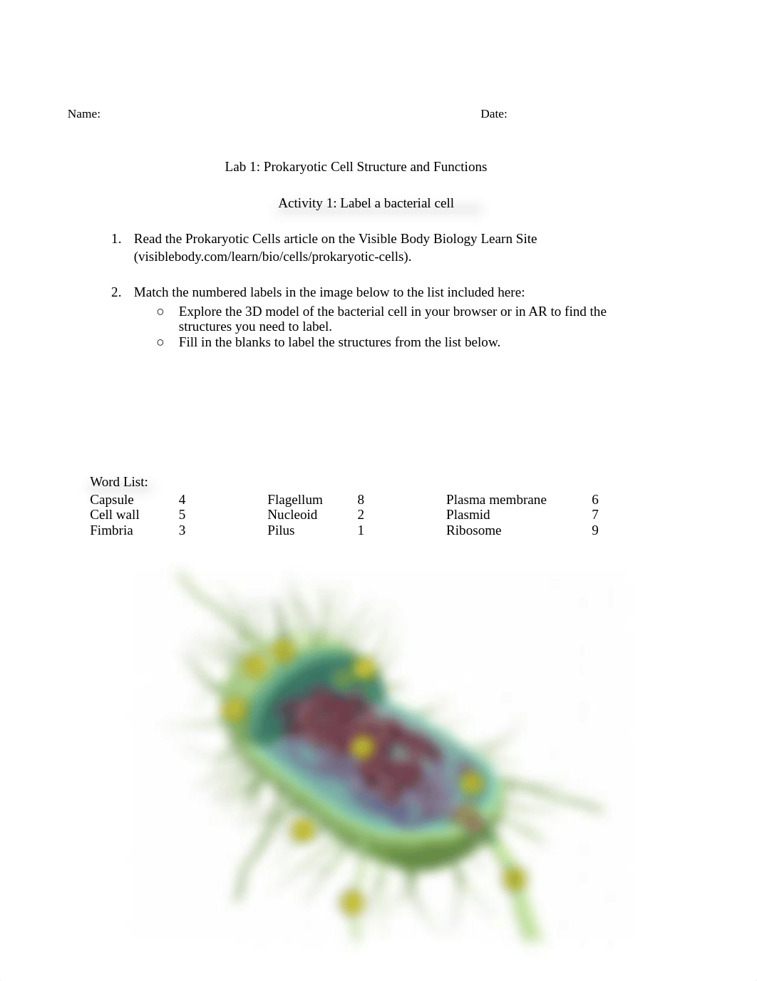 LAB 2 BIO.docx_dpedinad7lu_page2