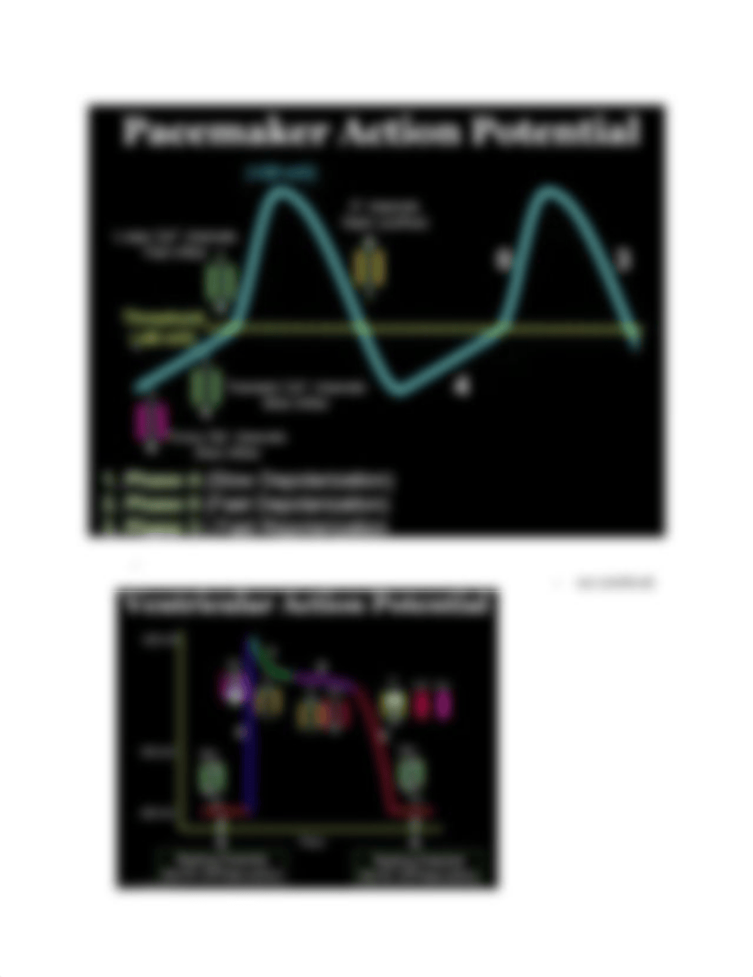 Phys exam 3 potential cheat sheet.docx_dpefjol889u_page2