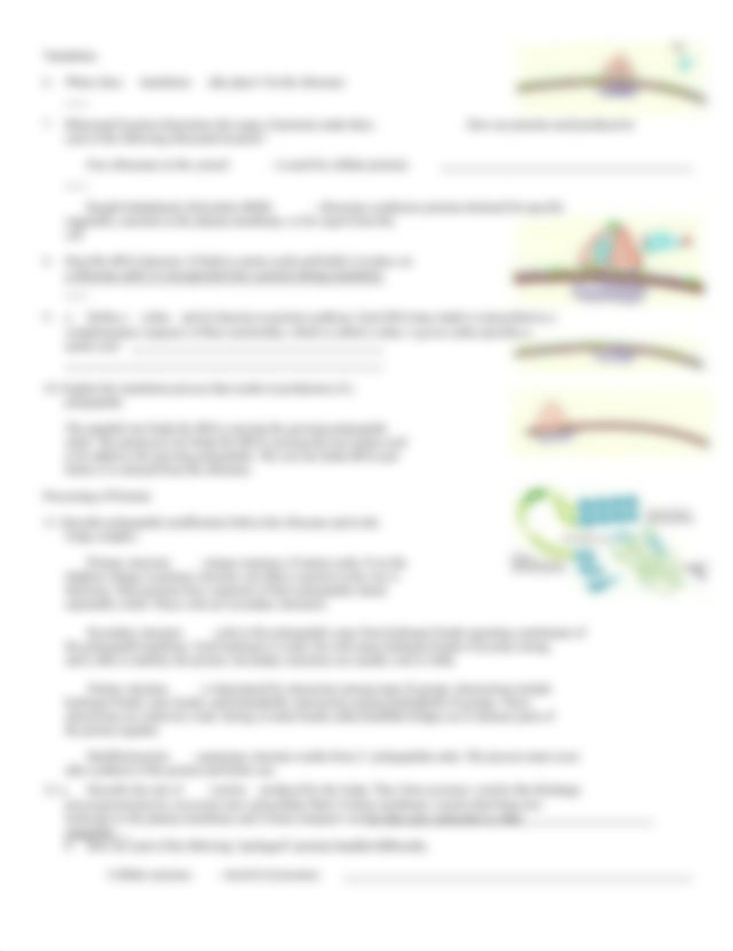 Protein synthesis.doc_dpem0lcelmc_page2