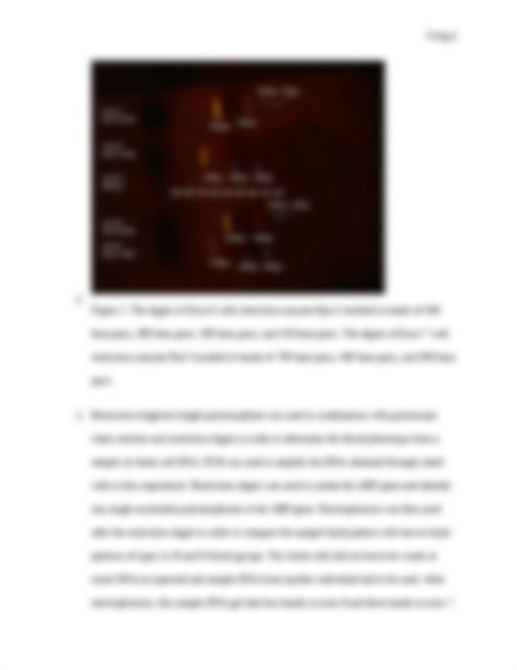 ABO Blood Genotyping by RFLP-PCR_dpeqyq1flfc_page2