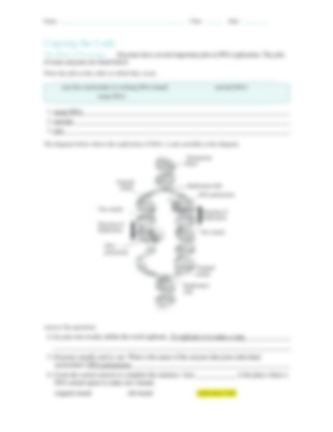 DNA Replication.doc_dpertx9tjc9_page2