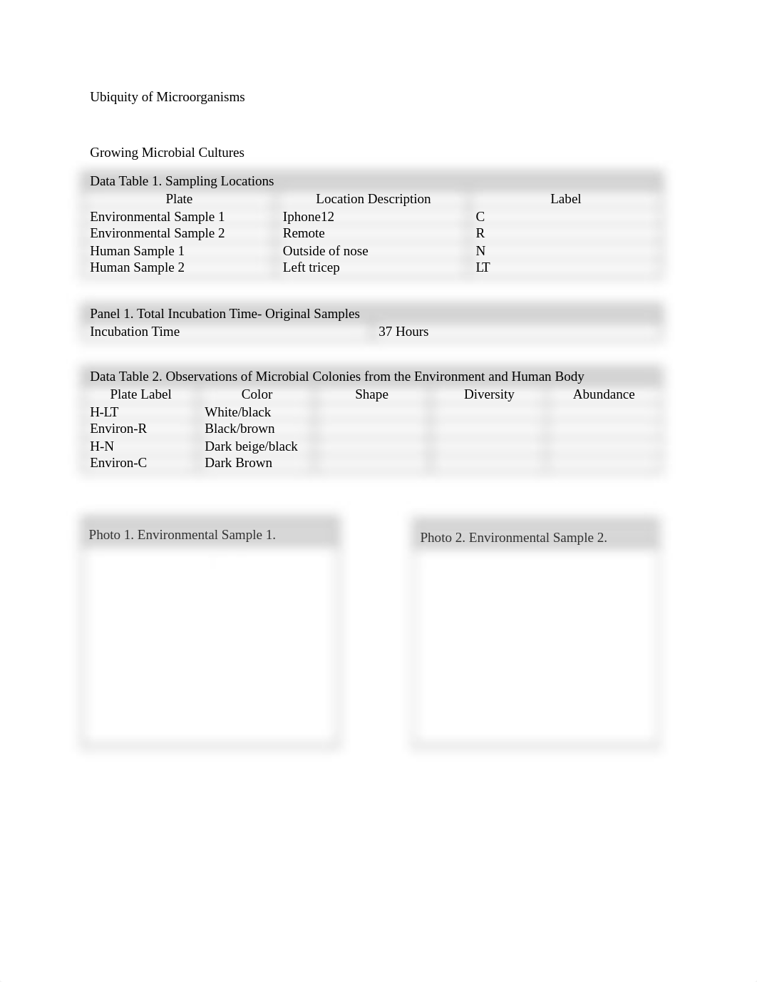 Ubiquity of Microorganisms Postlab Review.docx_dpevjof4rcu_page1