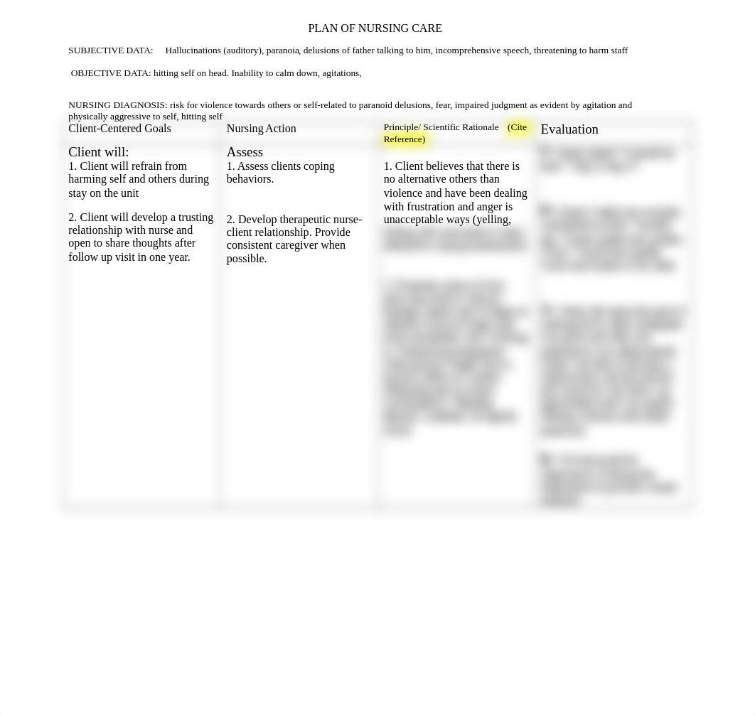 1. Care Plan Template for Virtual Learning Exercises .docx_dpffmh57ndh_page1