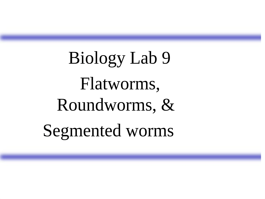 BIOL  Lab 9 Handout Invertebrates I.pptx_dpflw3ilgml_page1