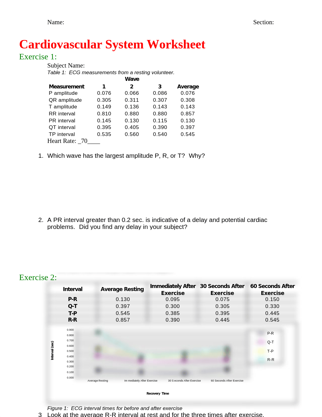 Cardiovascular System Worksheet WD.doc_dpfp2eimtom_page1