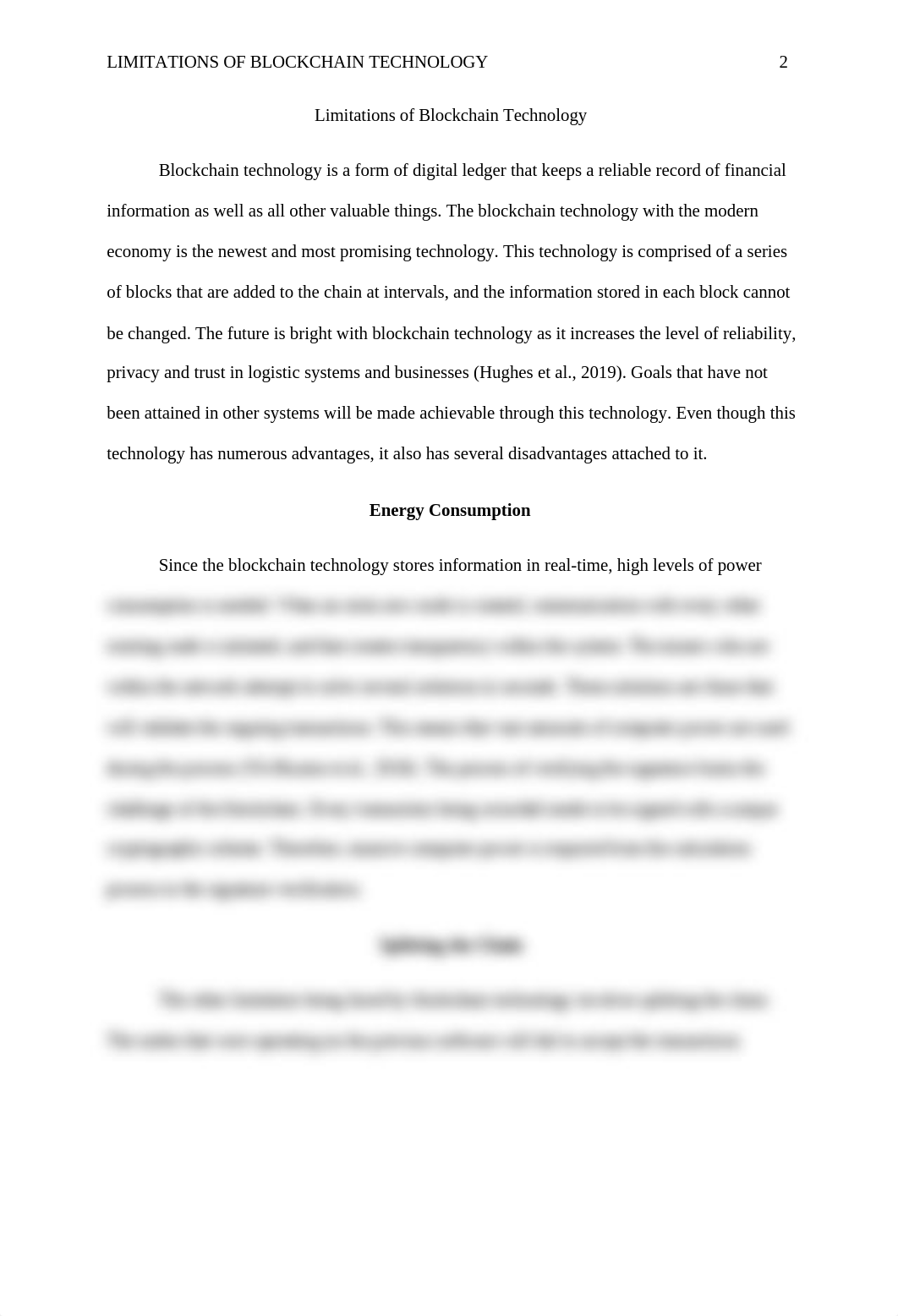 Limitations of Blockchain Technology.docx_dpfvx6we4yk_page2