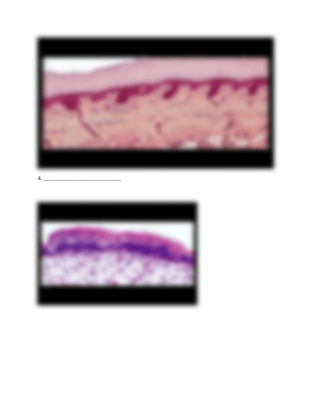 Chapter 4 lab.docx_dpgd563rc2v_page3