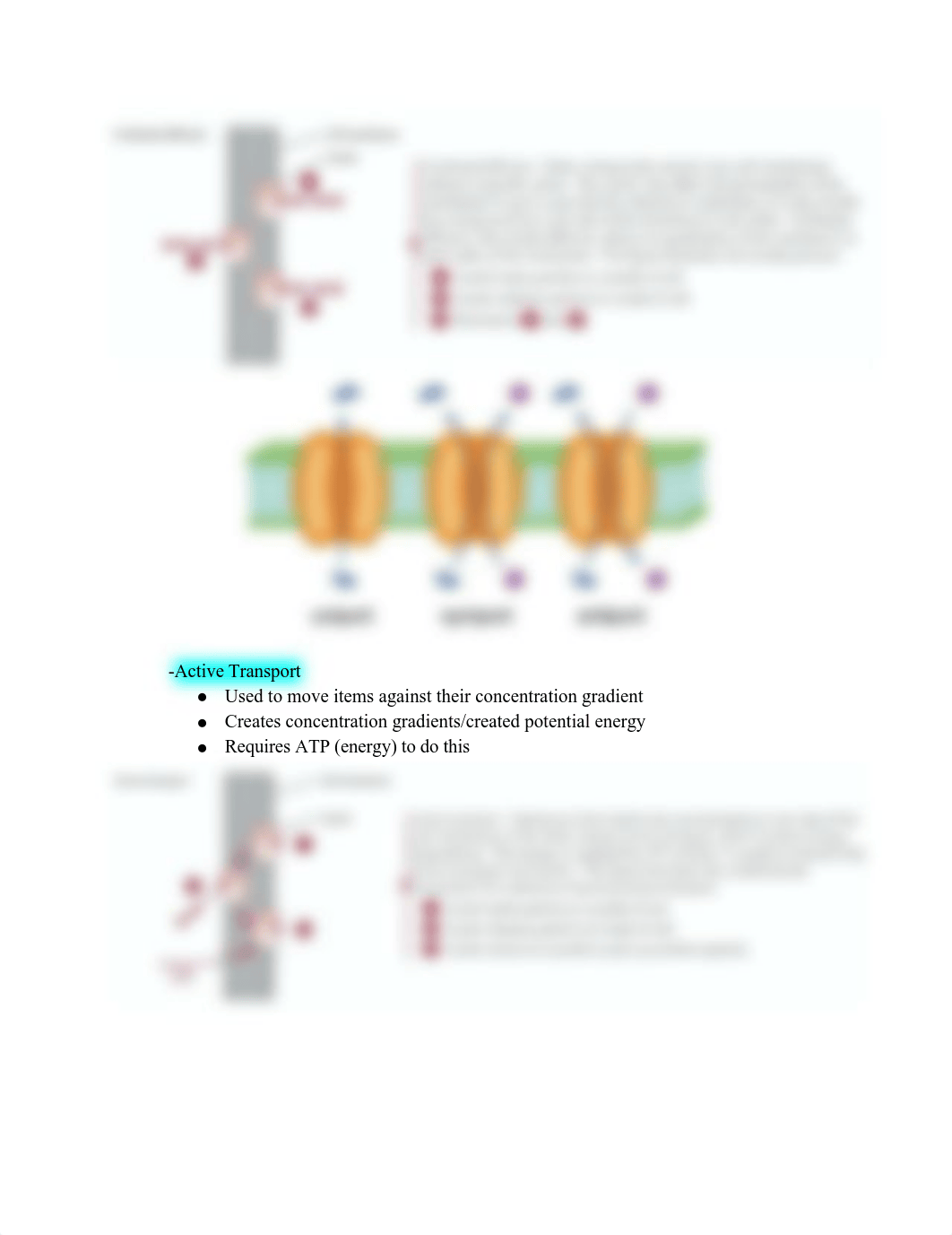 HN 307 Exam 1 Study Guide (1).pdf_dpggxl2yqnh_page3