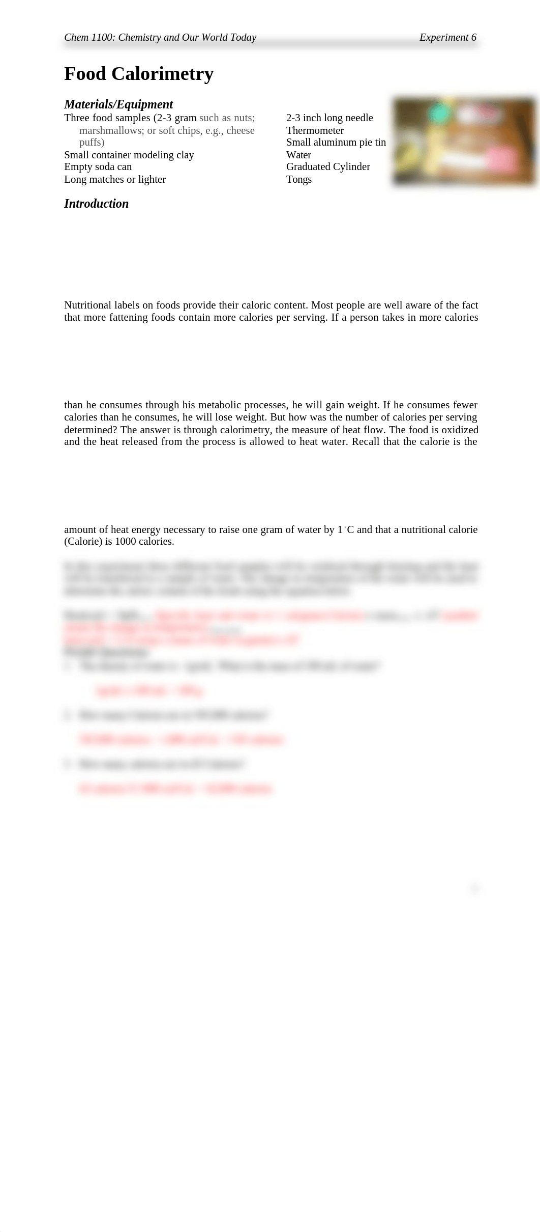 CHEM Food Calorimetry Lab_dpgh5xtqreu_page1