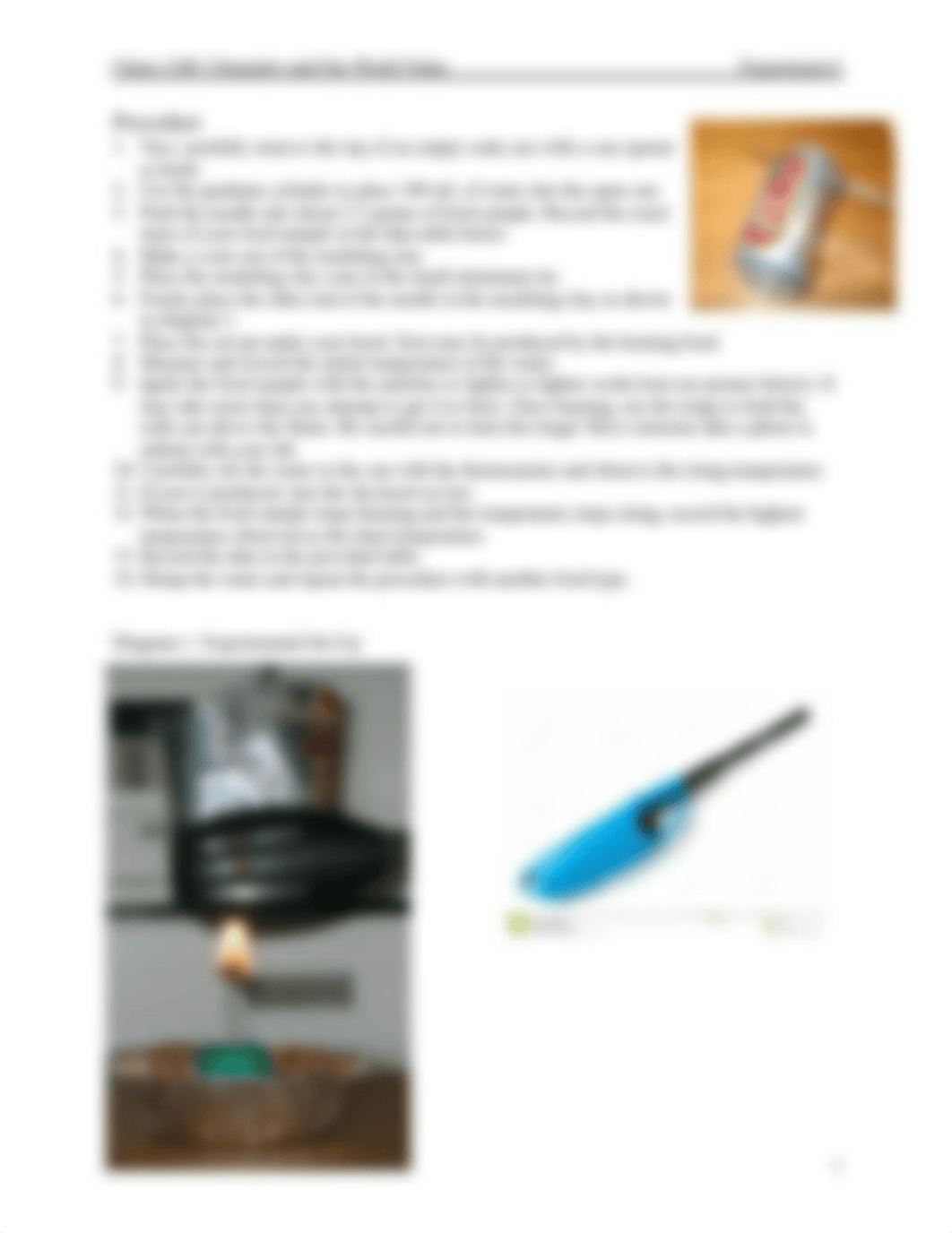 CHEM Food Calorimetry Lab_dpgh5xtqreu_page2