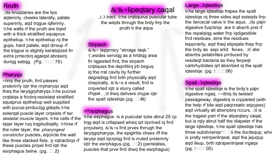 The Digestive System Concept Map .pdf_dpghdqbql3q_page2