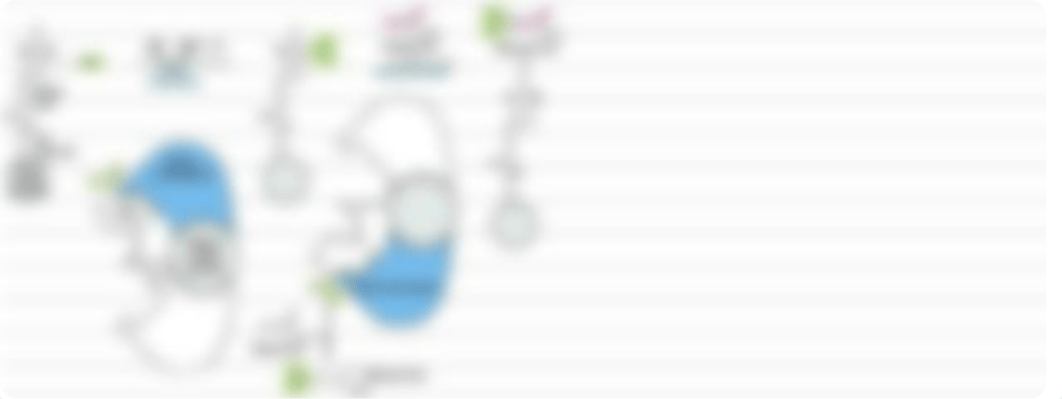 3. Sabban - Fatty Acid and Triglyceride Biosynthesis_dpgk7dyxxdm_page3