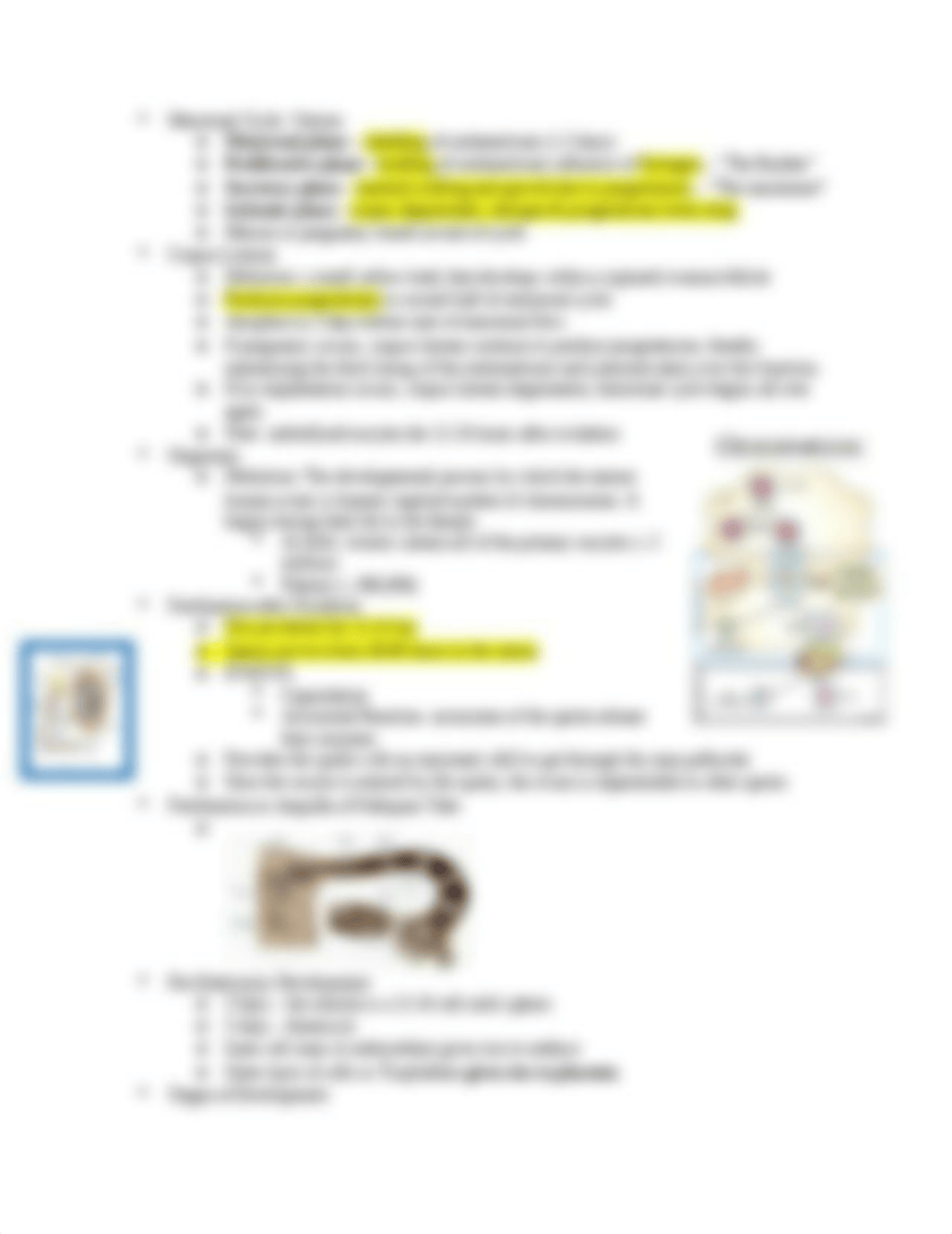 Unit 1 Notes.docx_dpglaz63rk5_page3