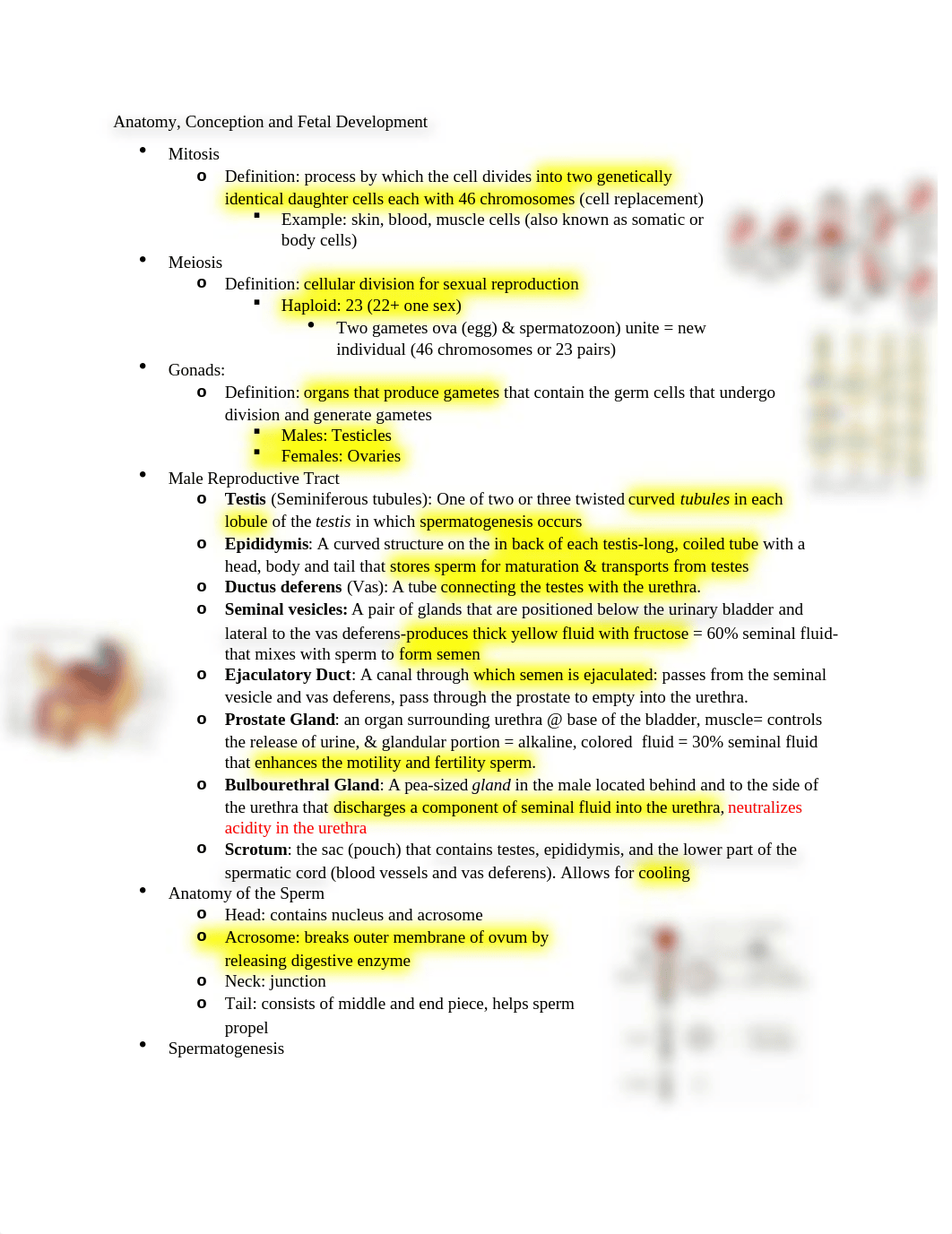 Unit 1 Notes.docx_dpglaz63rk5_page1