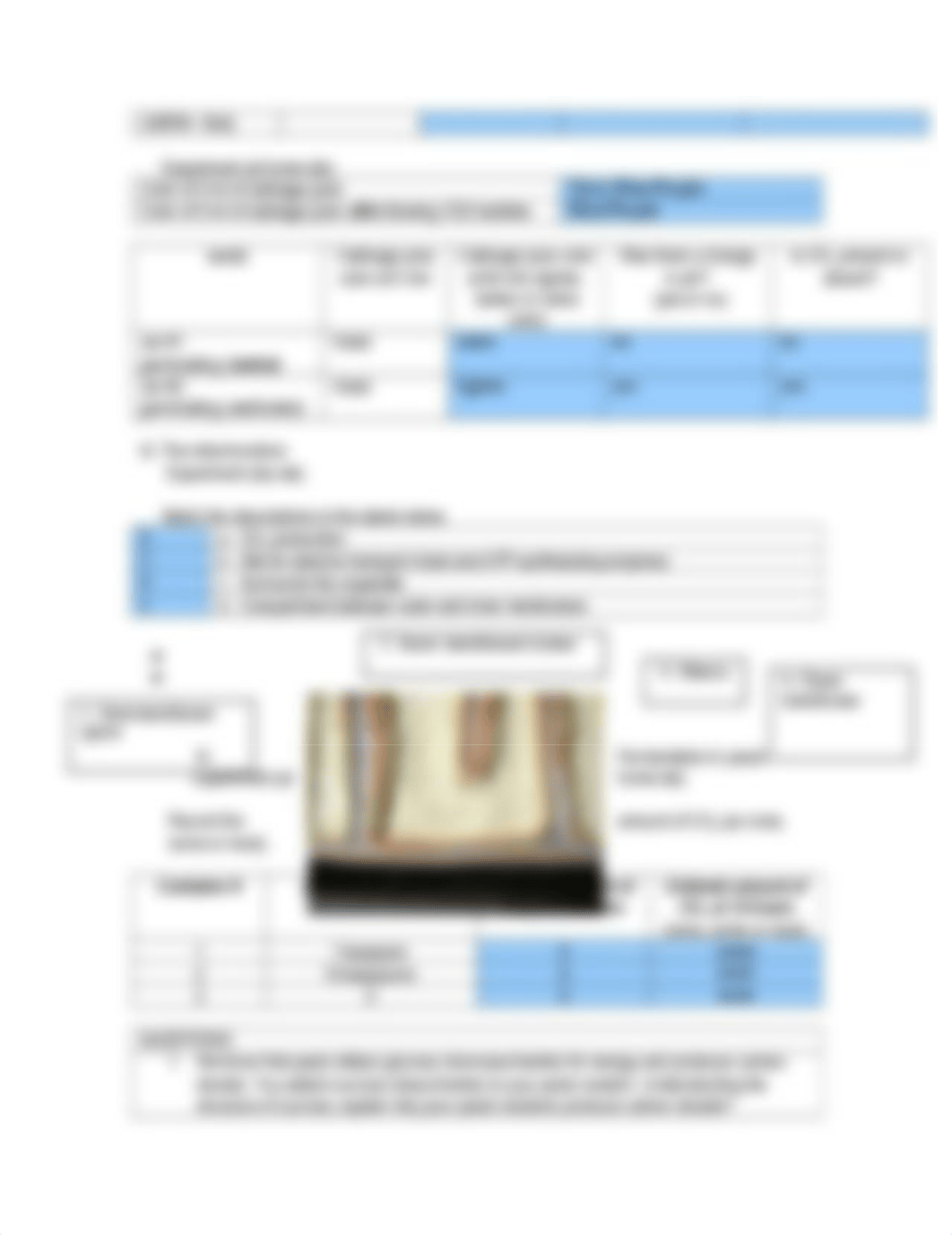 Cellular_Respiration_Worksheet_dpgn2v1yxy8_page3