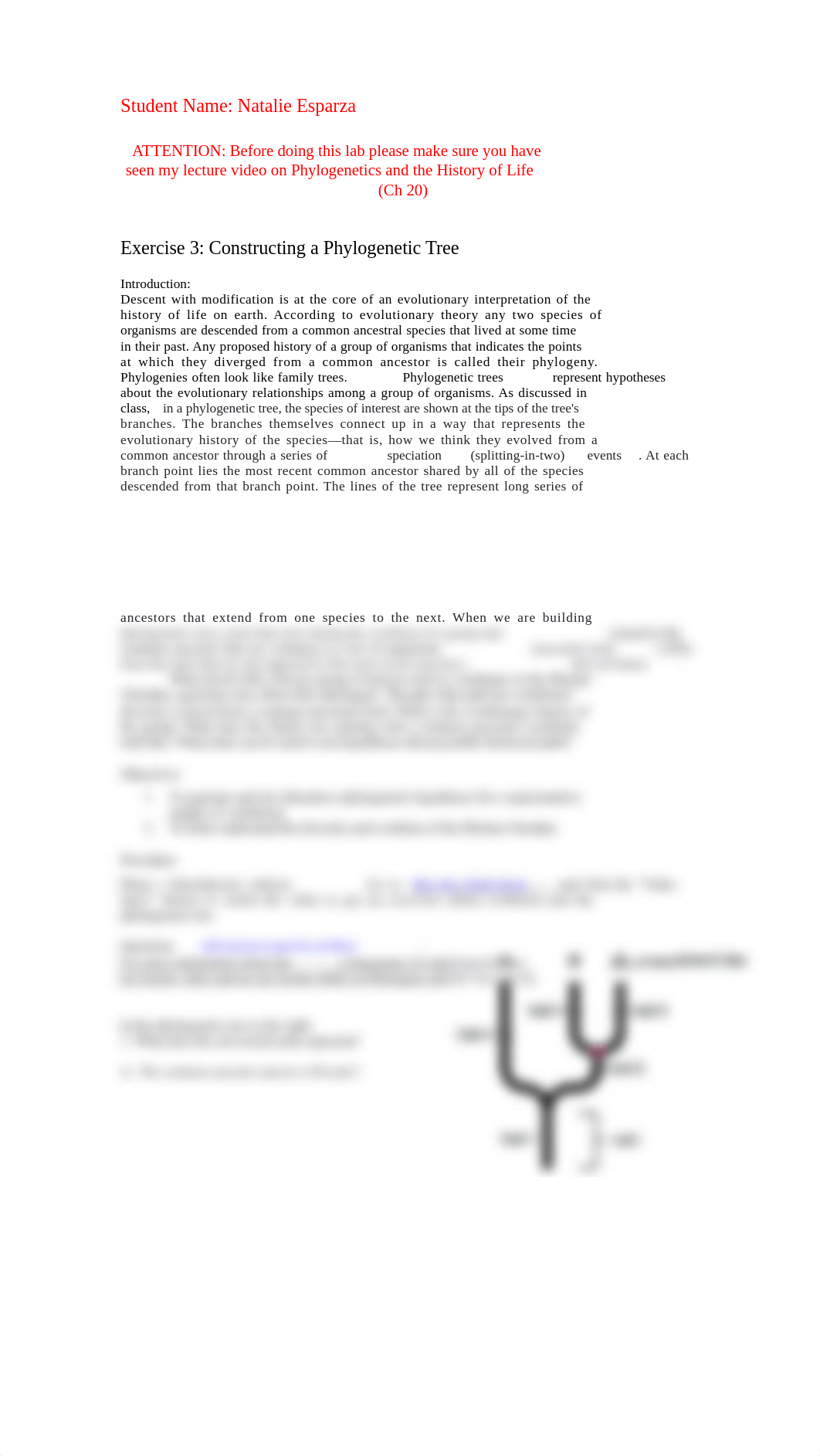 Exercise 3_Constructing a Phylogenetic Tree.docx_dpgo8zg0p80_page1