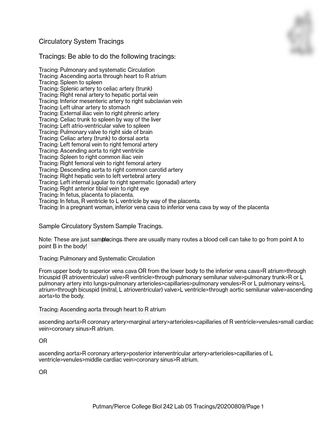 242 Lab 05c Tracings with Examples 20200809.pdf_dpgqb8og6iu_page1