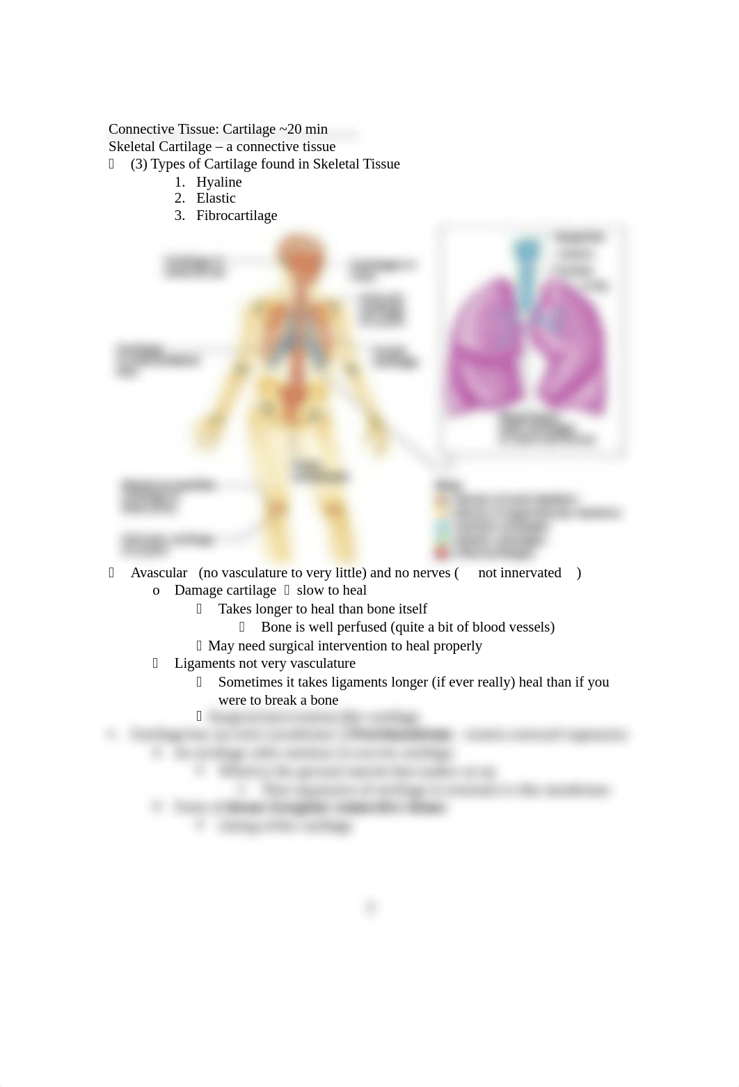 The skeletal system chapter 7_dph2svyjkes_page3