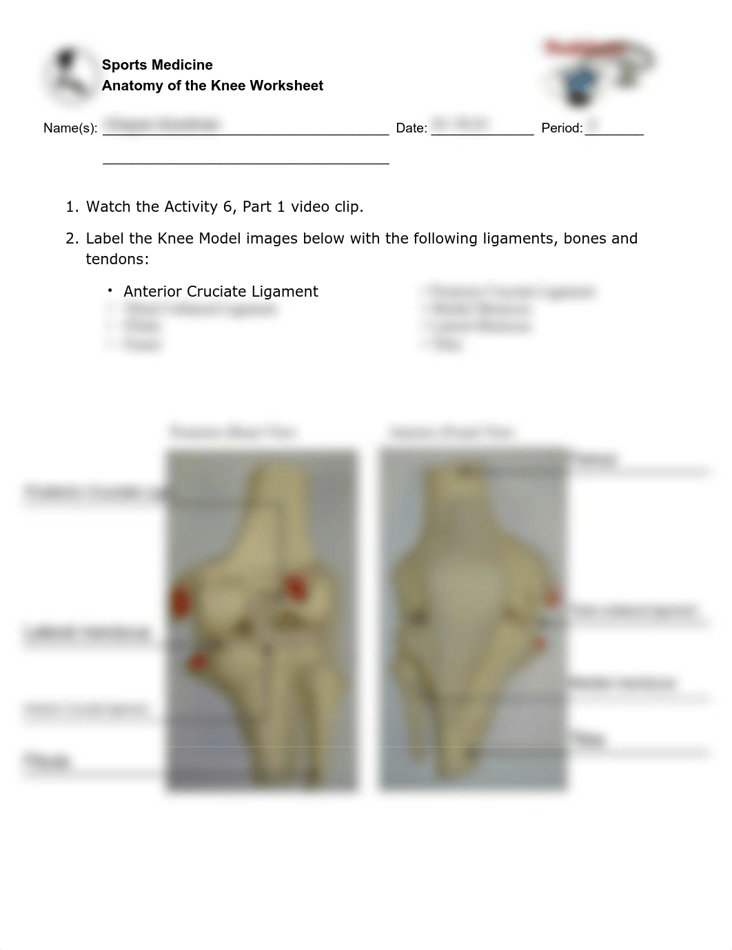 Sports Medicine Worksheet_Activity 6.pdf_dphe05mcjo8_page1