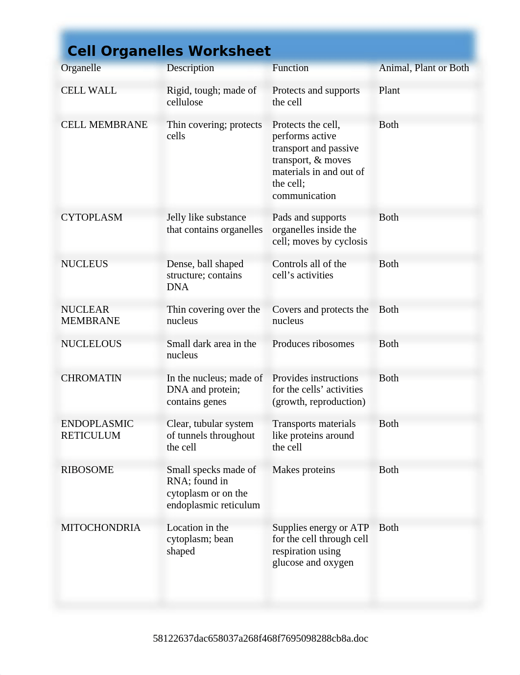 CellOrganellesWorksheet-Completed.doc_dphg8qphow7_page1