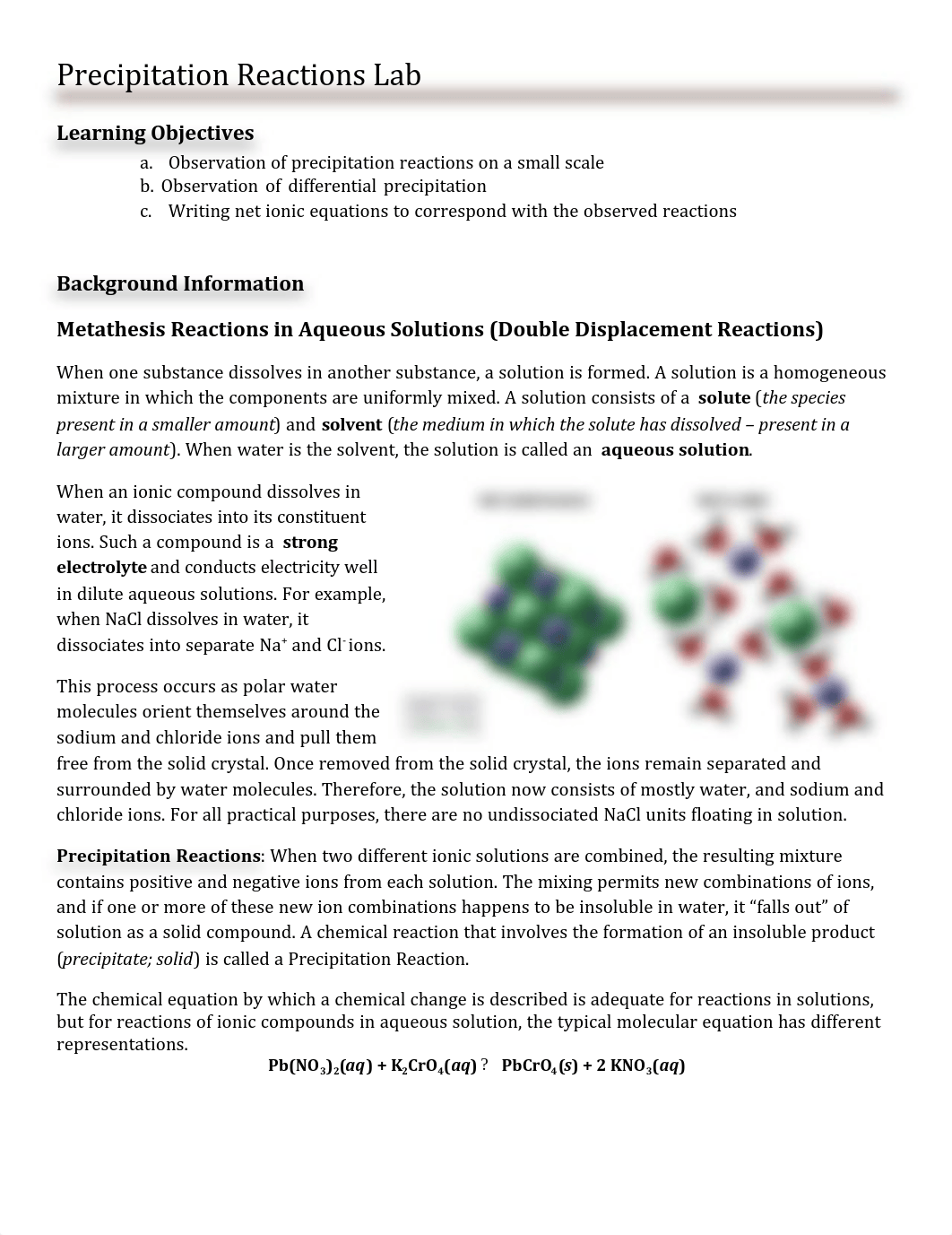 Precipitation Reactions Lab.docx - Google Docs.pdf_dphjozggcf6_page1