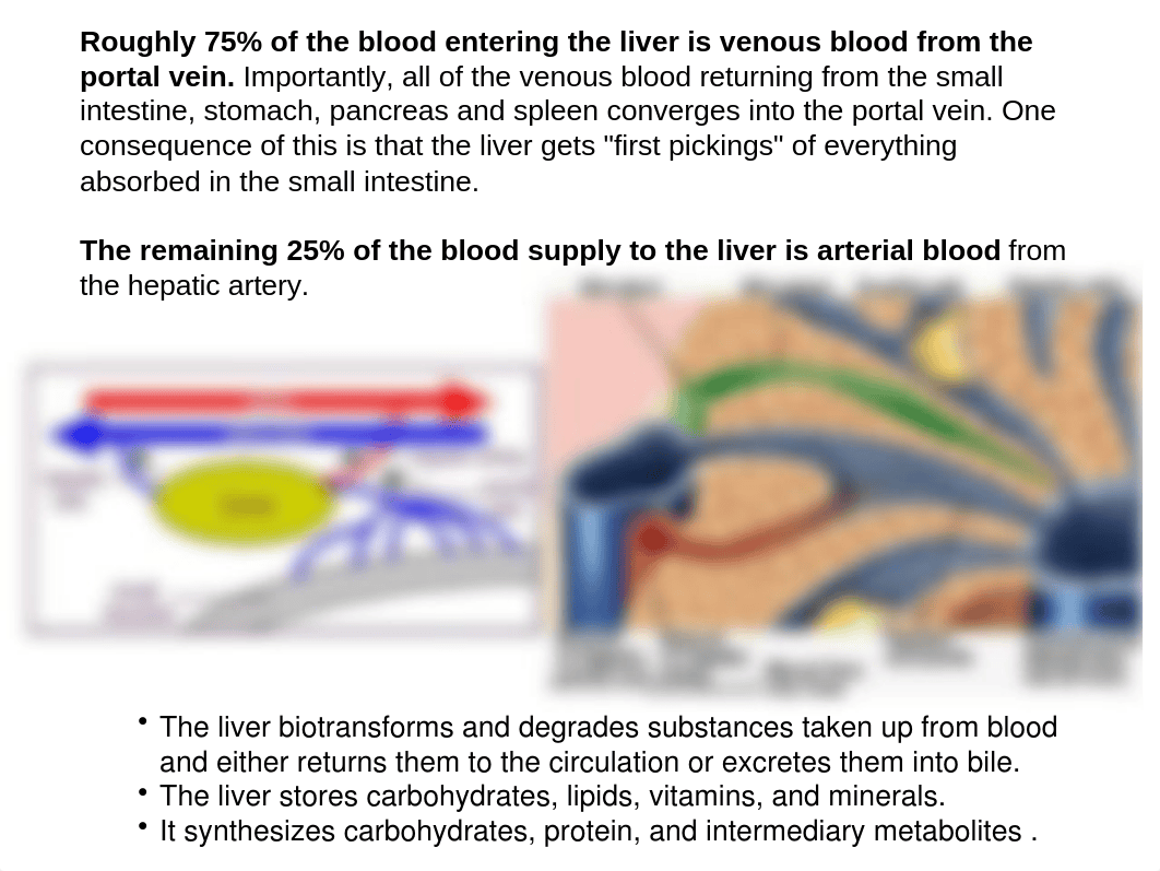 Lecture 49 -Liver_dphkcs05l26_page4