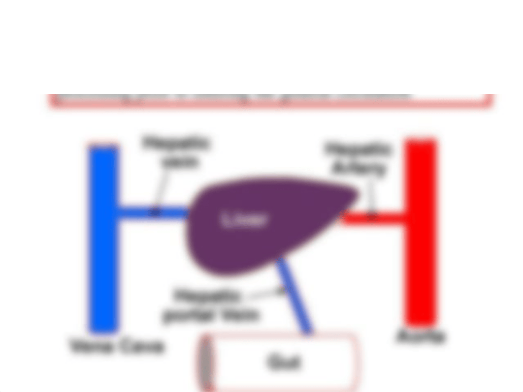 Lecture 49 -Liver_dphkcs05l26_page3