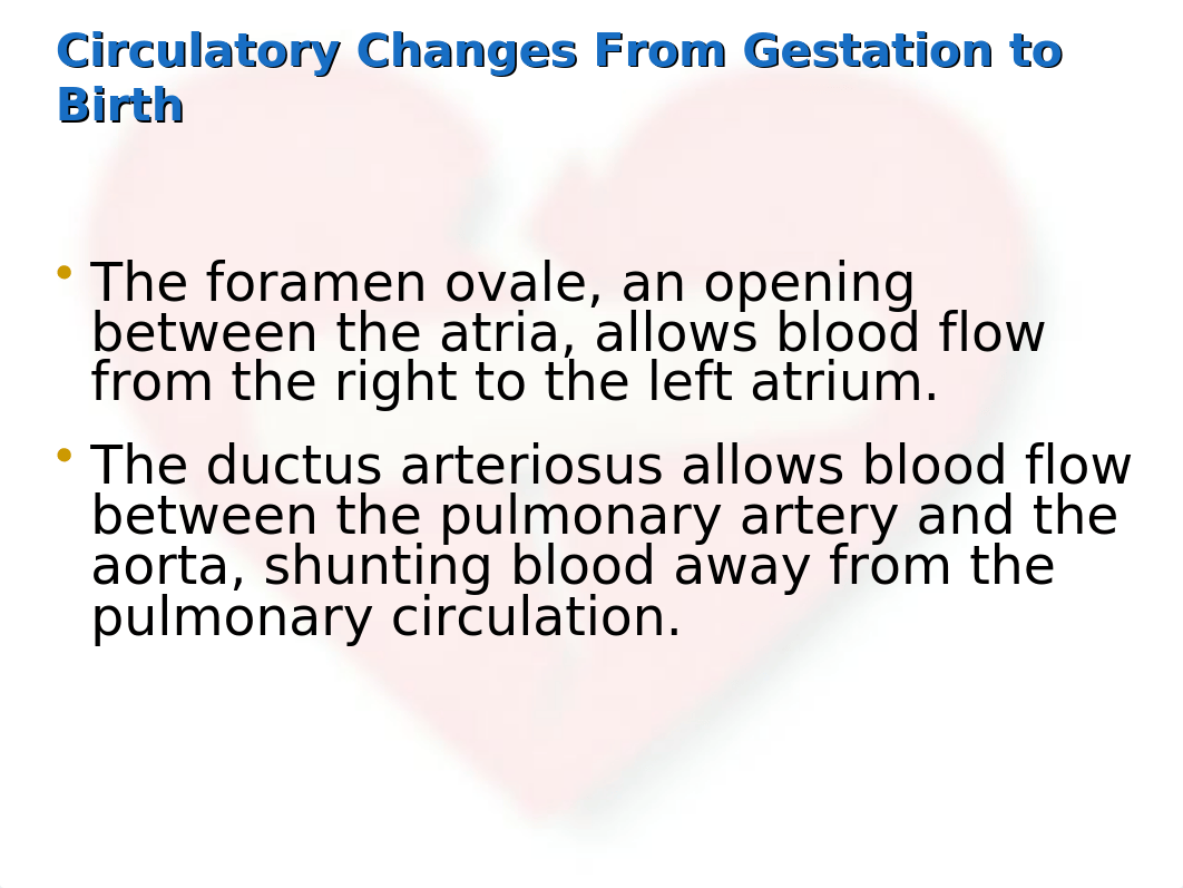 Ricci PPT Ch 41 S19 S Cardiovascular [Autosaved].pptx_dphmil20mvy_page2