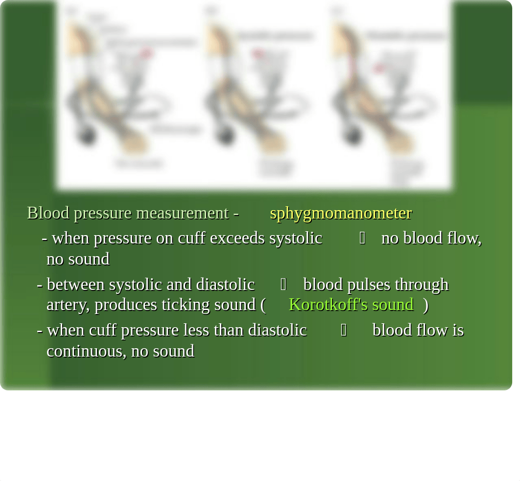 CIRCULATORY-RESPIRATORY SYSTEMS_dphmxf32y6b_page5