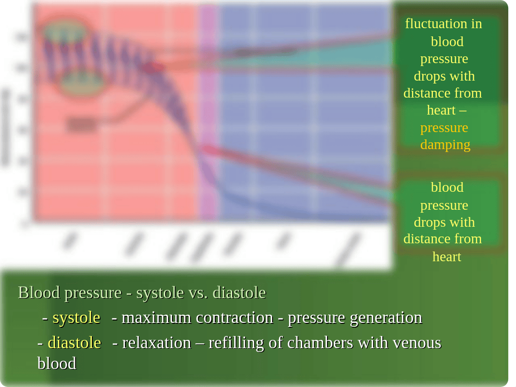 CIRCULATORY-RESPIRATORY SYSTEMS_dphmxf32y6b_page4