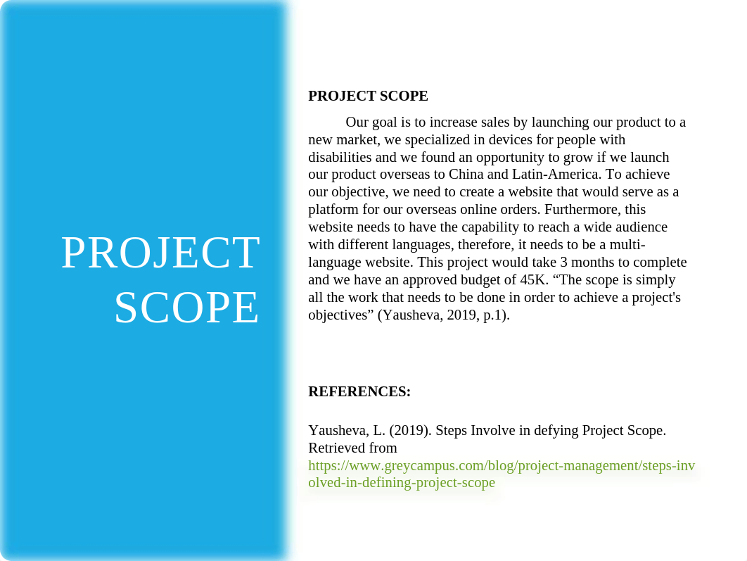 Managing Project and Programs Group Activity dec9th.pptx_dphr1md1gwk_page3