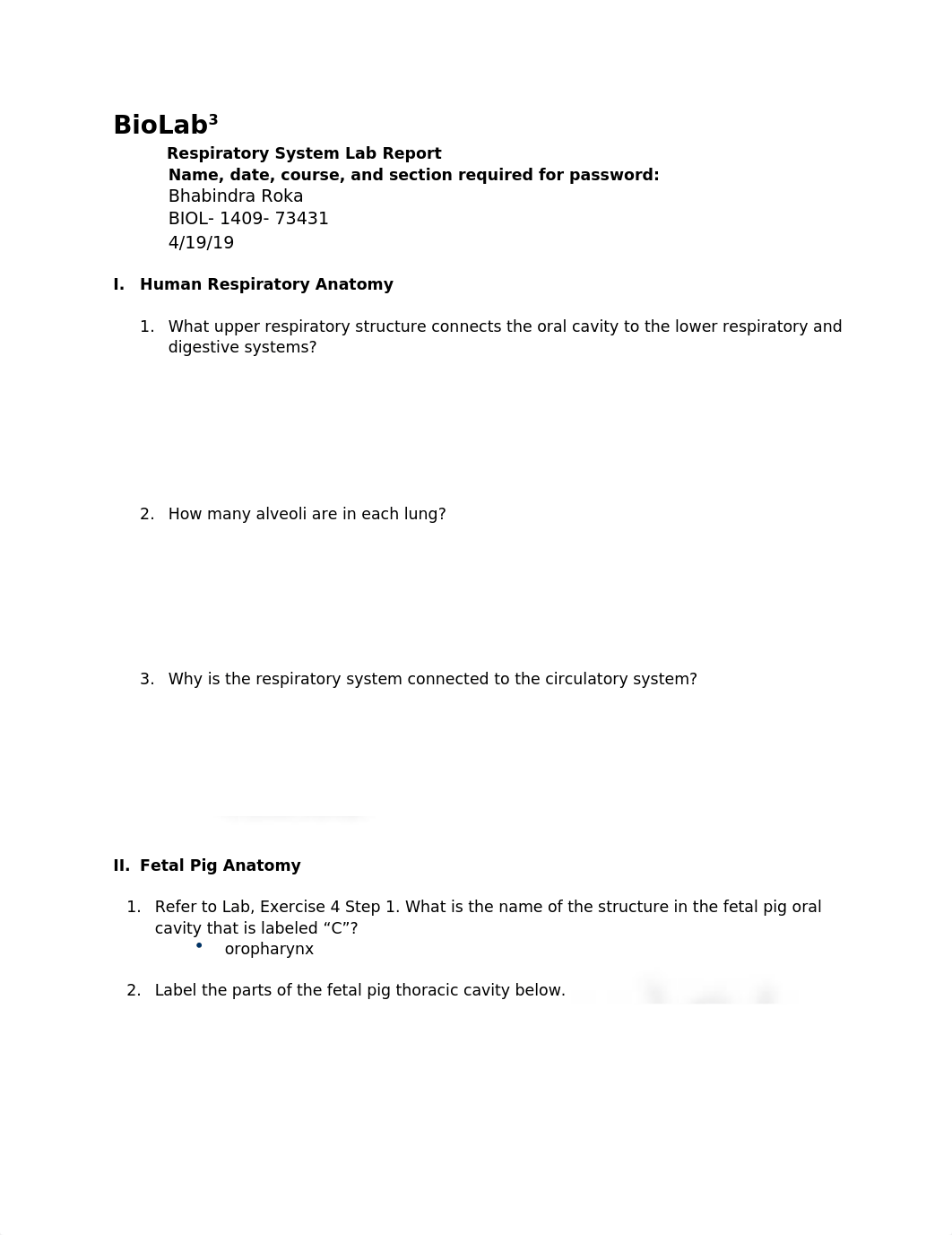 Respiratory_System_LR (1).doc_dphtxbzdwfd_page1