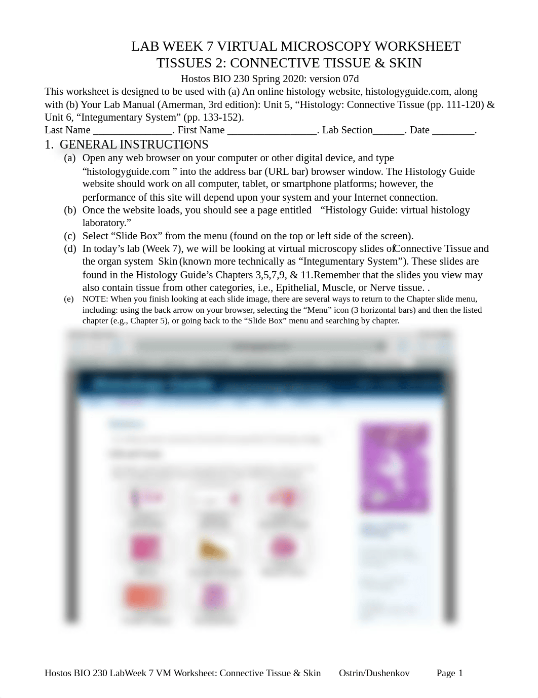 LabWeek7 VM Worksheet-Connective Tissue & Skin v 07d1.docx_dpi06fbbtd8_page1