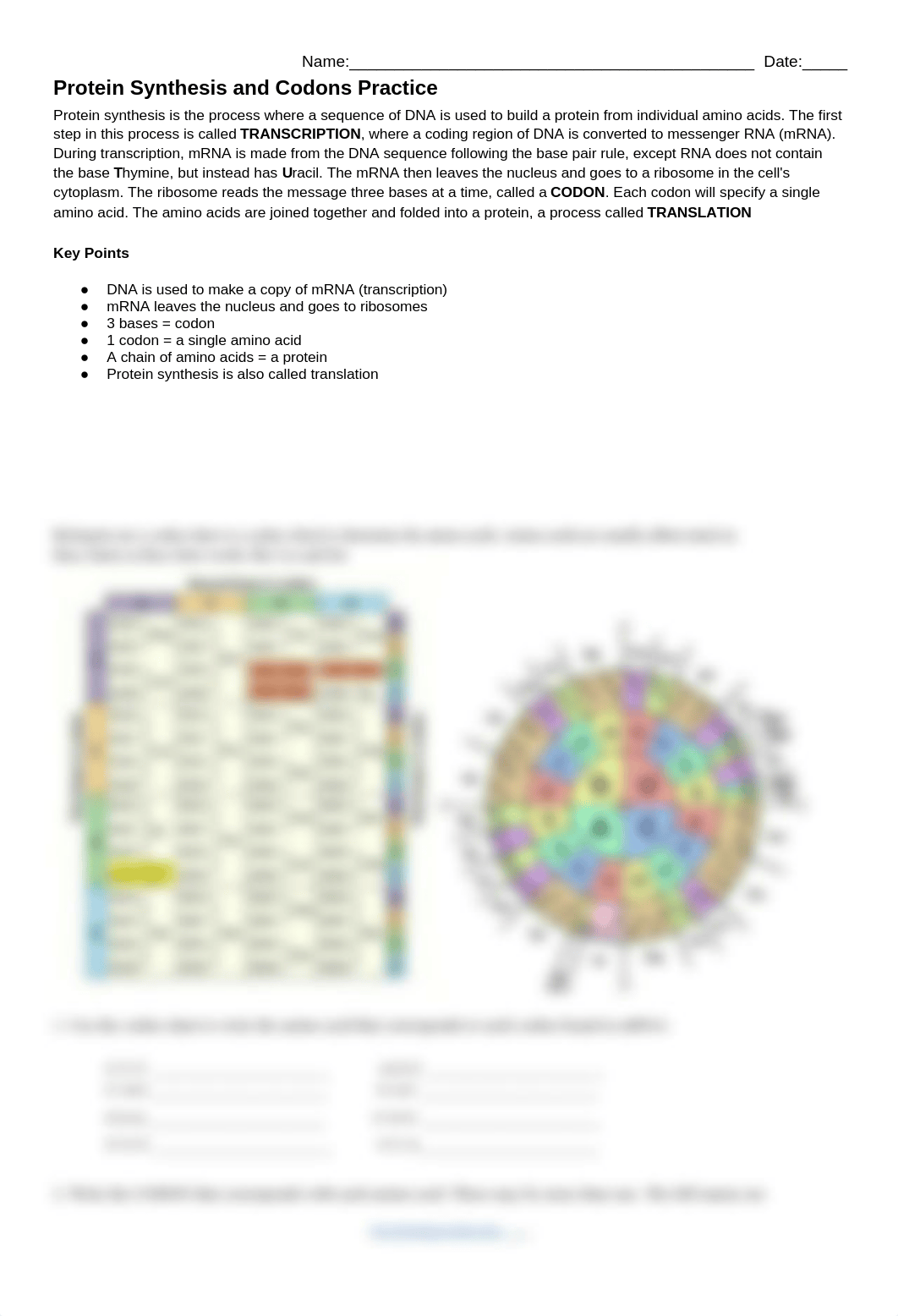 Protein_Synthesis_and_Codons_Practice_dpi1cp84ioq_page1