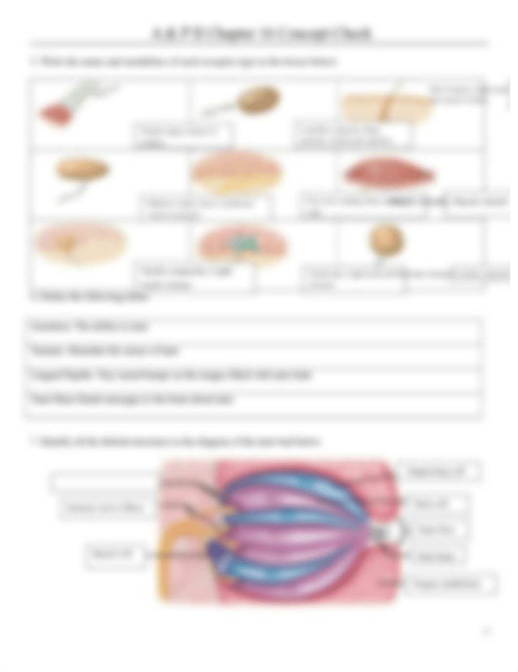 Chapter 16 Concept Check.docx_dpi9suf70h0_page2