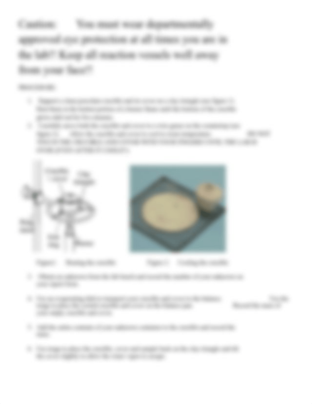 Indirect Gravimetric Determination lab.pdf_dpijrw8zyy1_page2