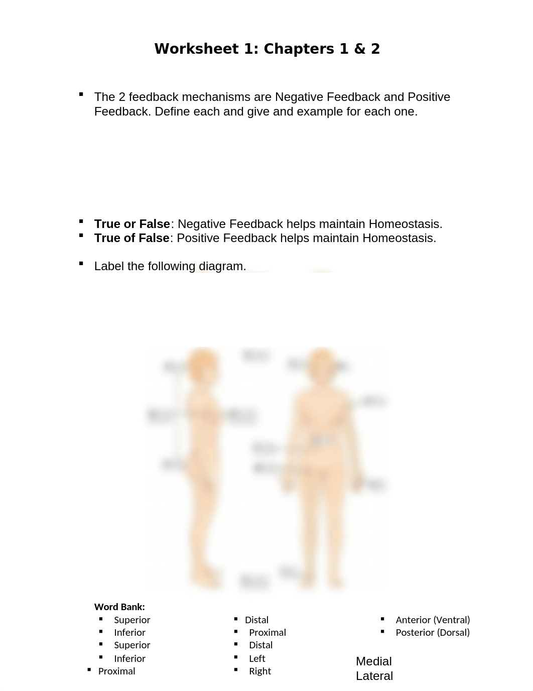 BSC2085 Worksheet 1- Chapters 1 &2 (2) (1).docx_dpin9uair2a_page2