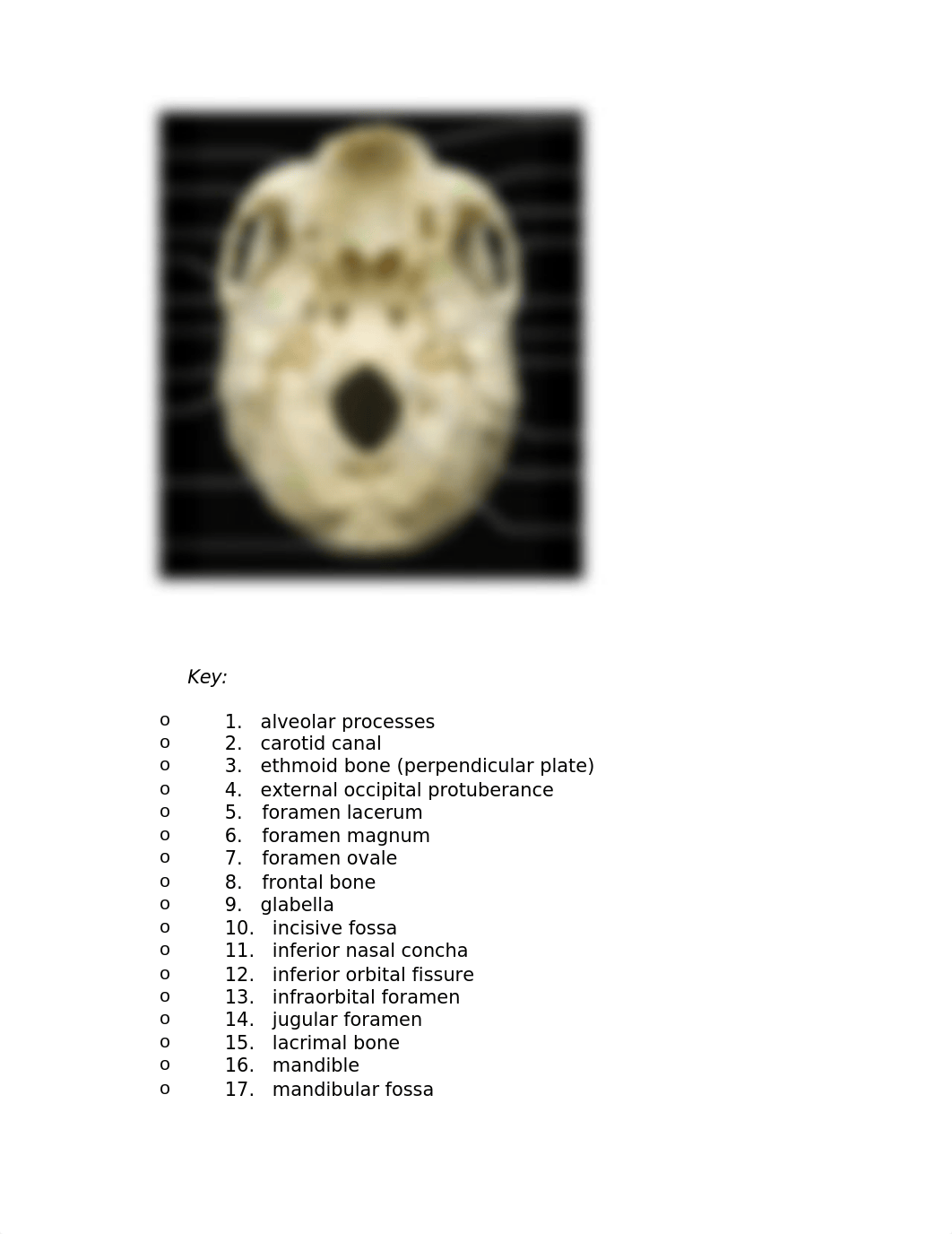 week 4 lab.docx_dpitpjjocxr_page4