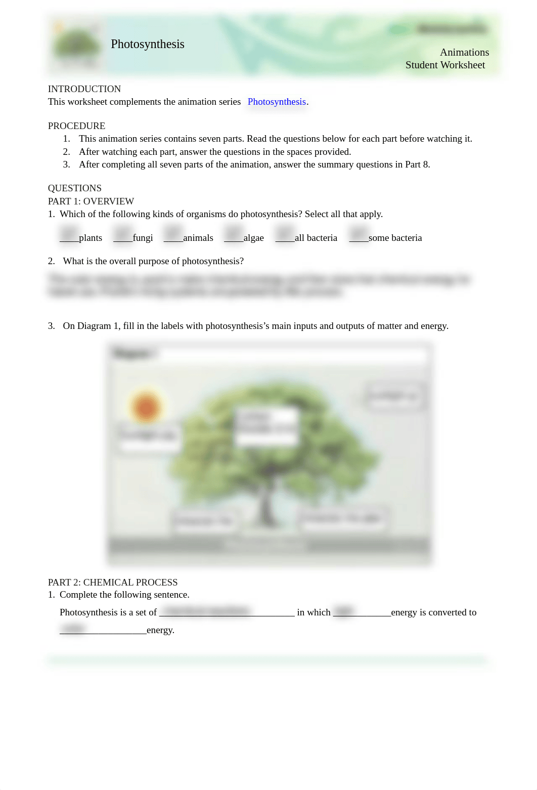 BIO111808 Photosynthesis Assignment Kallie Tribbett.pdf_dpj3xh1r6cd_page1