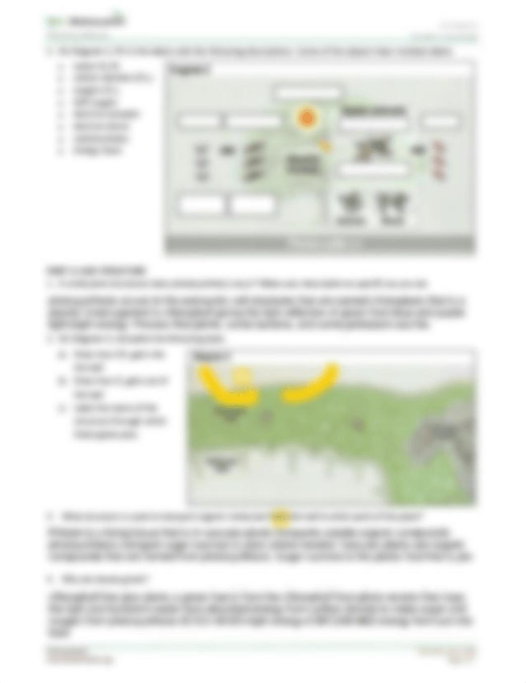 BIO111808 Photosynthesis Assignment Kallie Tribbett.pdf_dpj3xh1r6cd_page2