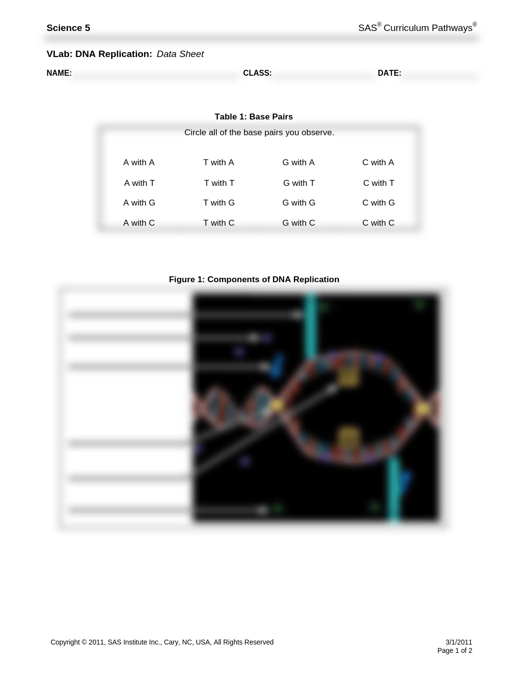 DNA Replication Virtual Lab Data Sheet.pdf_dpjb2jt14v7_page1