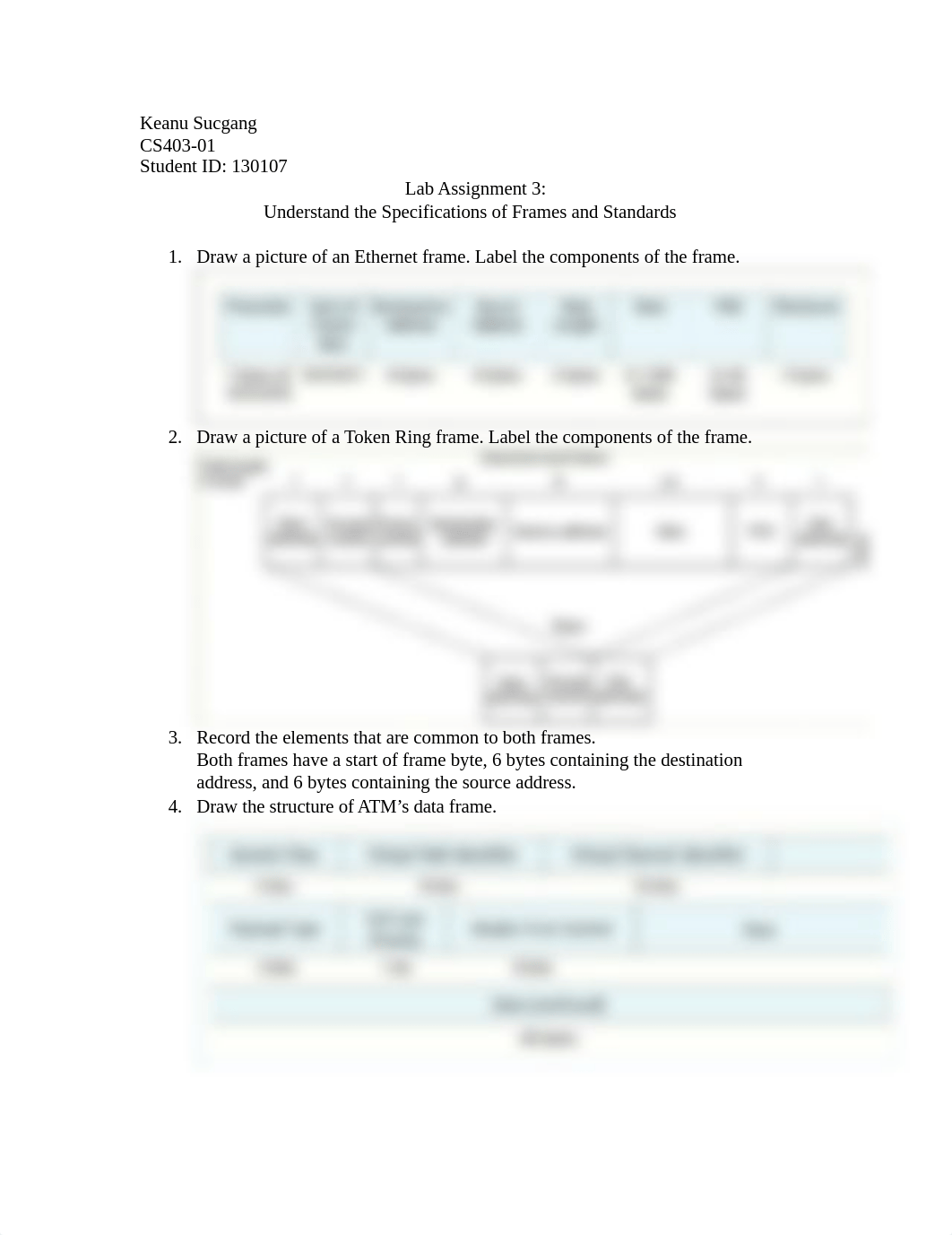 lab3 assignment.doc_dpjd250n6rz_page1