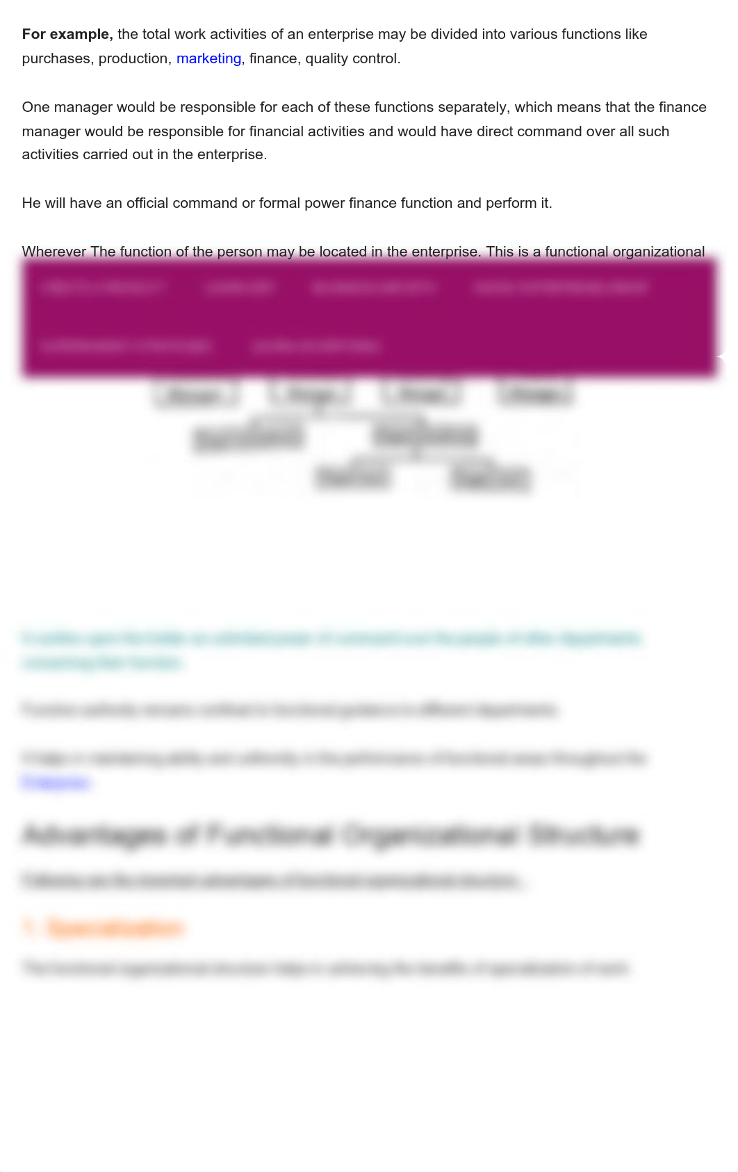 11 Advantages and Disadvantages of Functional Organizational Structure.pdf_dpjdzny6hmy_page3