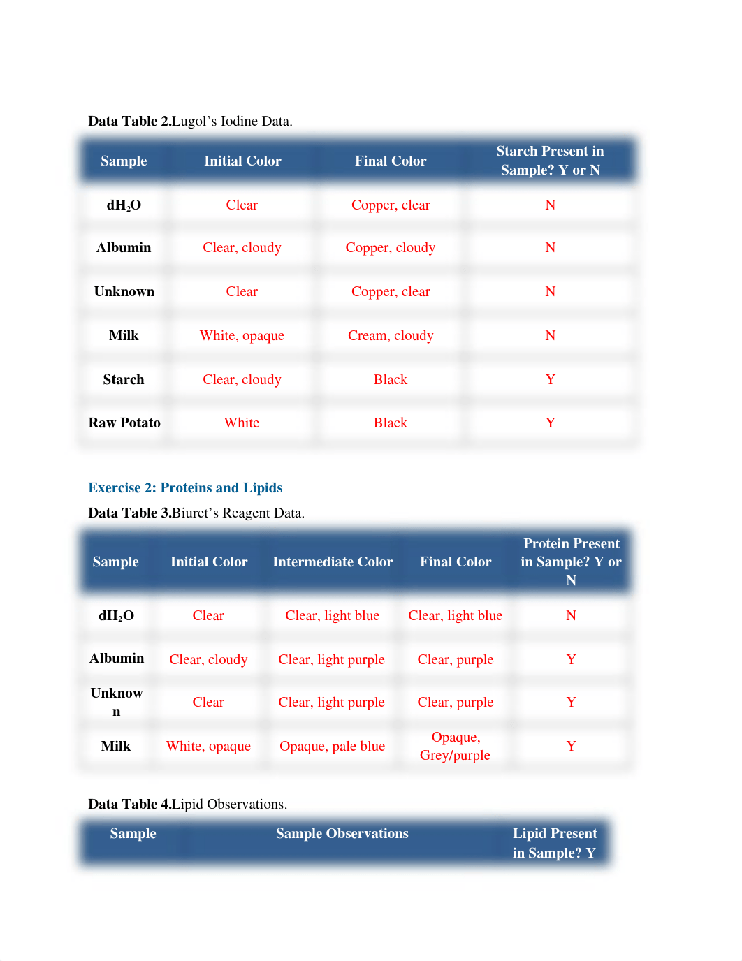 Biological Macromolecules Lab Report .docx_dpjgg0jhyky_page2