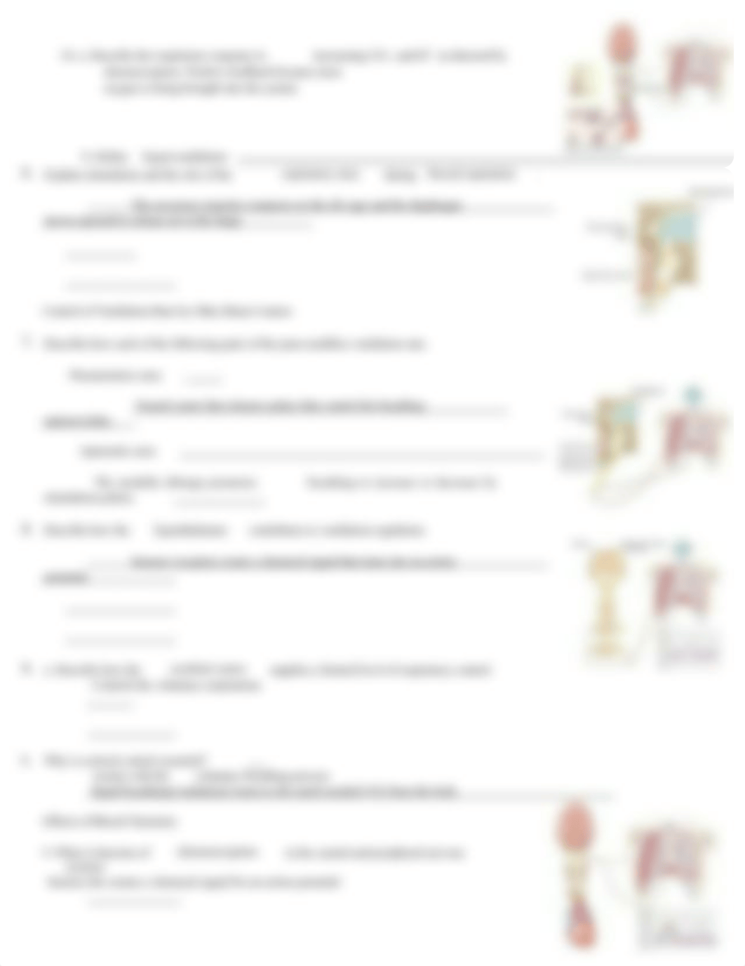 BIO_23_regulation_of_ventilation.docx_dpjheumtztr_page2