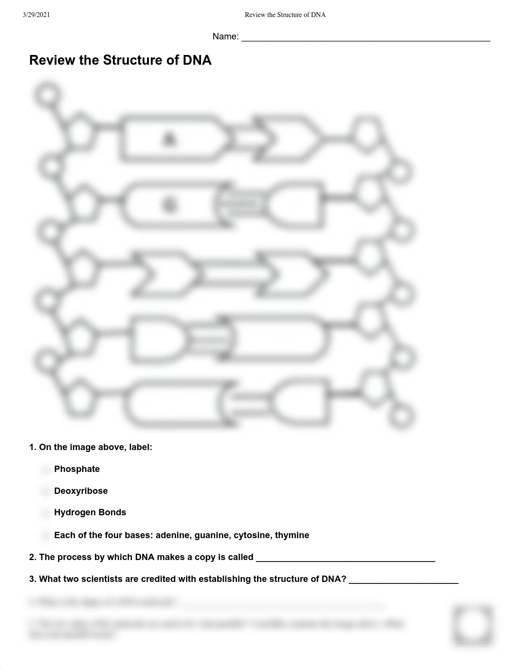 Review the Structure of DNA.pdf_dpjo5wkm718_page1